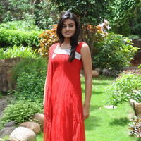 Nikitha Narayan New Pictures | Picture 68836